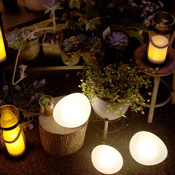Home & Living Essentials
